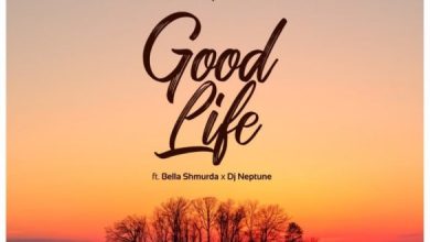 DJ Neptune x Bella Shmurda - Good Life