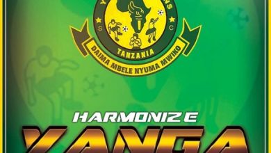 Harmonize - Yanga