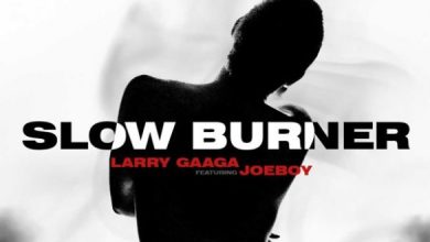 Larry Gaaga ft. Joeboy – Slow Burner