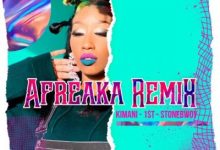 Victoria Kimani & FKI 1st ft. Stonebwoy – Afreaka (Remix)