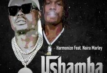 Harmonize ft. Naira Marley - Ushamba (Remix)