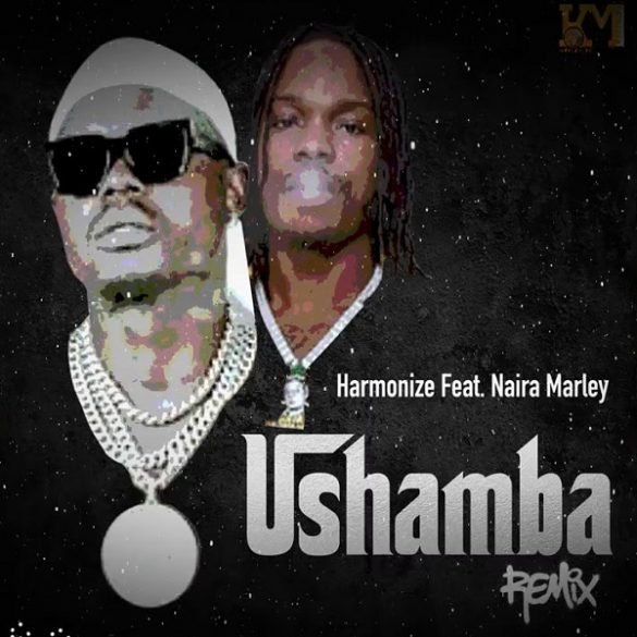 Harmonize ft. Naira Marley - Ushamba (Remix)