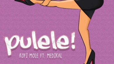 Kofi Mole ft. Medikal – Pulele