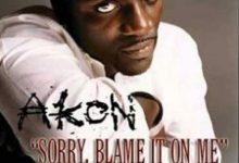Akon – Sorry, Blame It on Me
