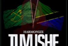 Harmonize – Tuvushe