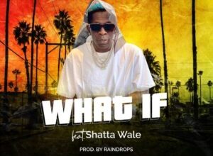 Shatta Wale – What If
