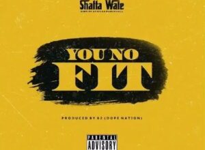 Shatta Wale – You No Fit