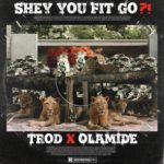 Trod – Shey You Fit Go ft. Olamide