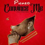 Picazo – Convince Me