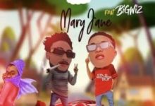 Terry G – Mary Jane ft. Wizkid