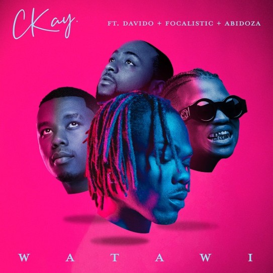 Music: CKay - WATAWI (feat. Davido, Focalistic & Abidoza)