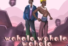 Ayanfe Viral - Wahala Wahala Wahala ft. Portable