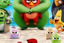 The Angry Birds 2 (2019)