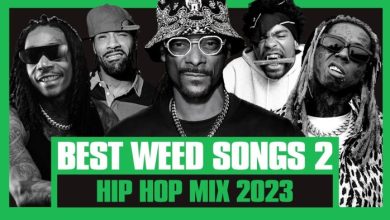 DJ Noize – 420 Smokers Mix