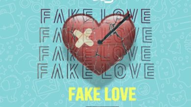 Fazzy Fake Love