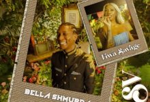 Bella Shmurda – NSV (Non-Stop Vibe) ft. Tiwa Savage