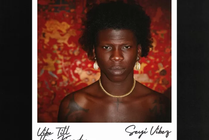 Seyi Vibez – Suddenly ft. Young Jonn
